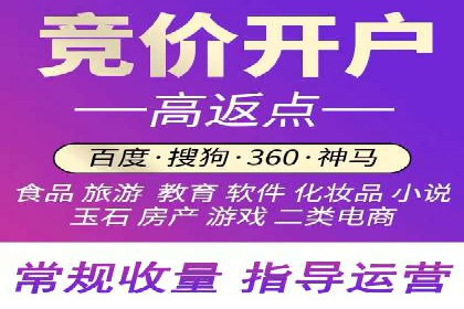 SEM服务公司助力品牌崛起案例
